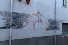 IMG_4053